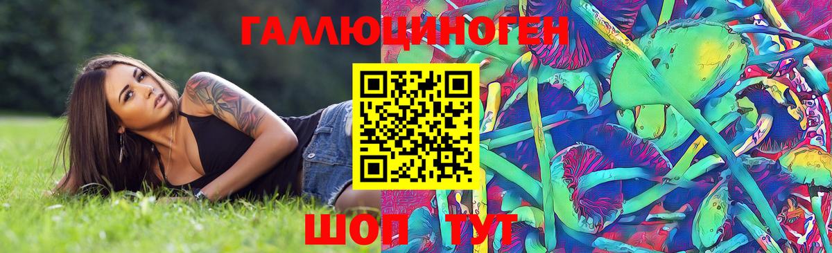 Дальнегорск  Псилоцибиновые грибы GOLDEN TEACHER  Вход с VPN 