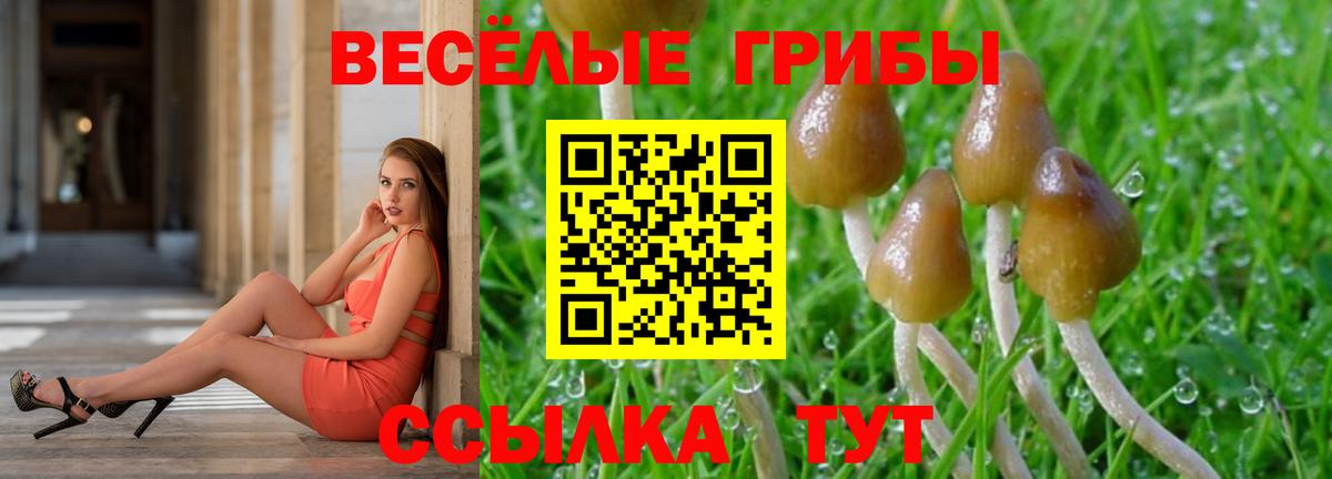 Галлюциногенные грибы ЛСД Дальнегорск